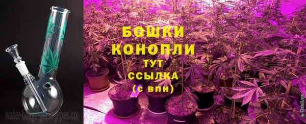 прущий лед Абаза